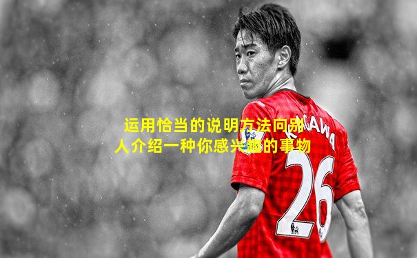 运用恰当的说明方法向别人介绍一种你感兴趣的事物