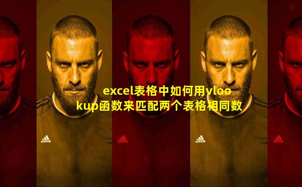 excel表格中如何用vlookup函数来匹配两个表格相同数据