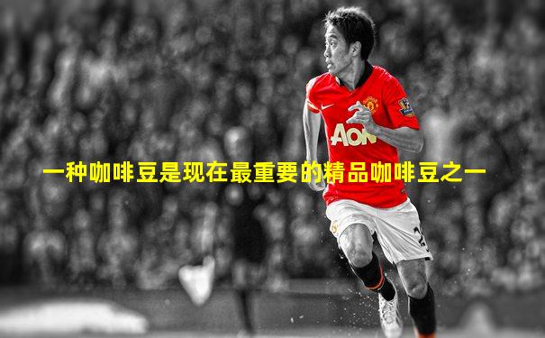 一种咖啡豆是现在最重要的精品咖啡豆之一