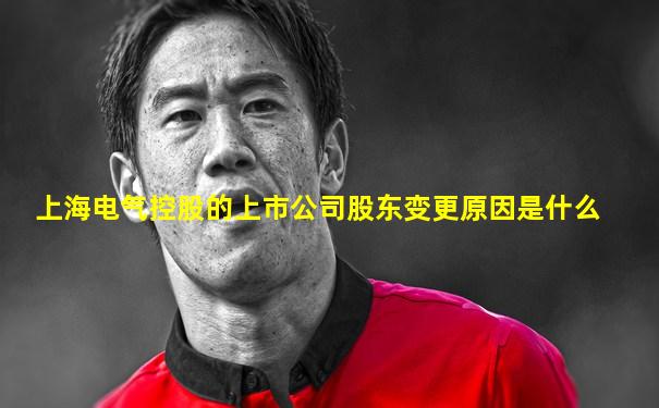 上海电气控股的上市公司股东变更原因是什么