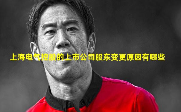 上海电气控股的上市公司股东变更原因有哪些