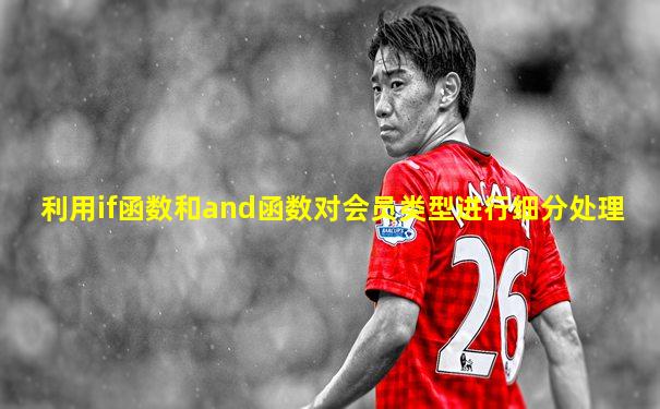 利用if函数和and函数对会员类型进行细分处理