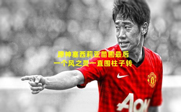 原神塞西莉亚苗圃最后一个风之灵一直围柱子转