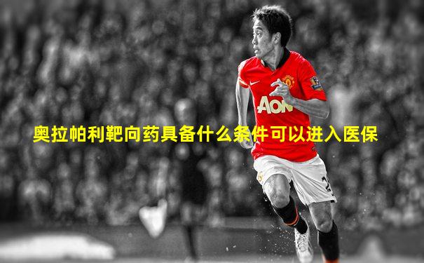 奥拉帕利靶向药具备什么条件可以进入医保