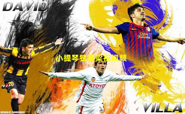小提琴独奏梁祝视频