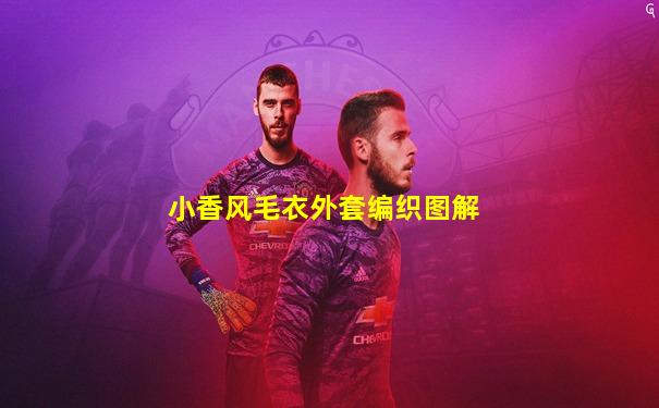 小香风毛衣外套编织图解