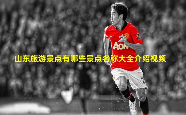 山东旅游景点有哪些景点名称大全介绍视频