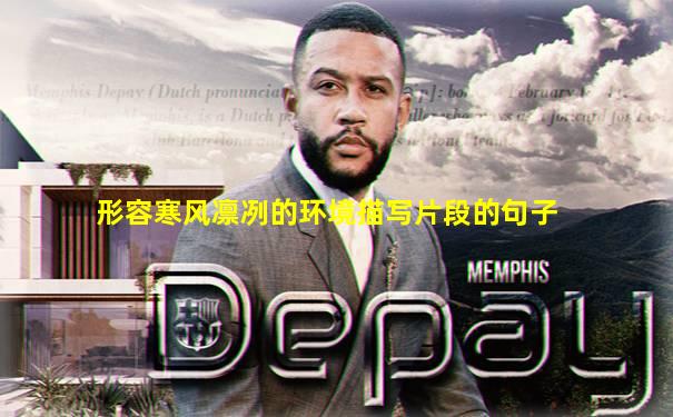形容寒风凛冽的环境描写片段的句子