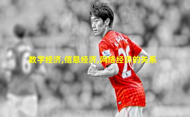 数字经济,信息经济,网络经济的关系