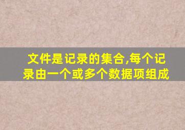 文件是记录的集合,每个记录由一个或多个数据项组成