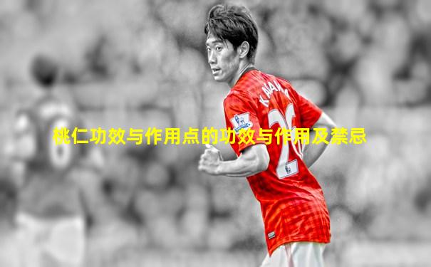 桃仁功效与作用点的功效与作用及禁忌