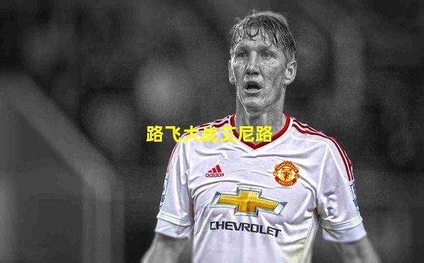路飞大战艾尼路