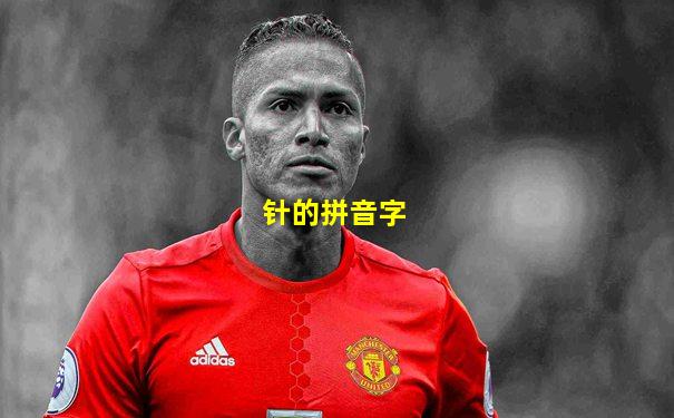 针的拼音字