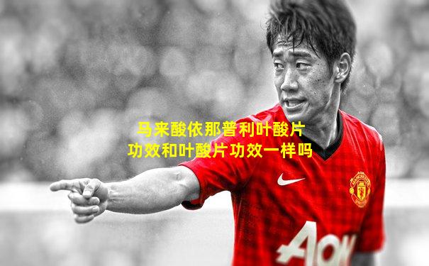 马来酸依那普利叶酸片功效和叶酸片功效一样吗